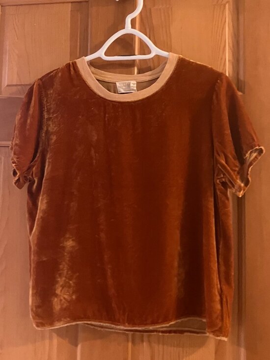 Nation LTD Tops - NATION LTD crushed velvet tee (S)